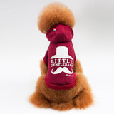 Dog Clothes For Small Dog Clothing Bulldog Pet Chihuahua Hoodie Winter Coat